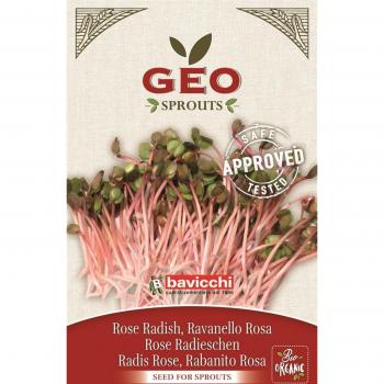 Semillas Bio para Germinados China Rose, 20 g