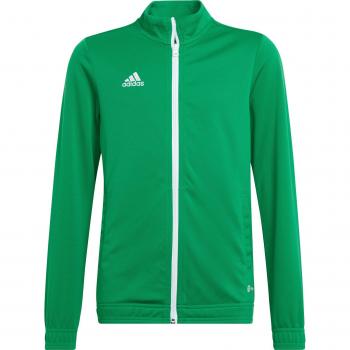 Chaqueta de fútbol adidas Entrada 22 para niño, color gris, fabricada en material ligero y transpirable, con cierre de cremallera completo, bolsillos laterales con cremallera, puños elásticos y logotipo de adidas bord