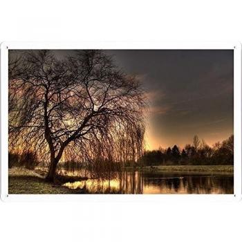 Metal cartel Cartel de chapa Hojalata sesión Coast Lake Tree Branches Evening Romanticism 42411 Retro Vintage Pared Decoración by hamgaacaan