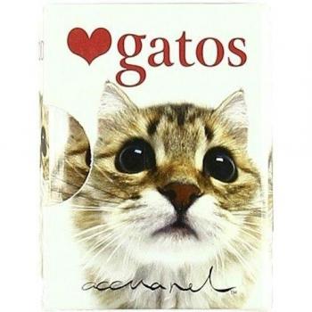 Gatos