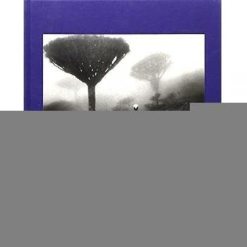 Socotra - Jordi Esteva