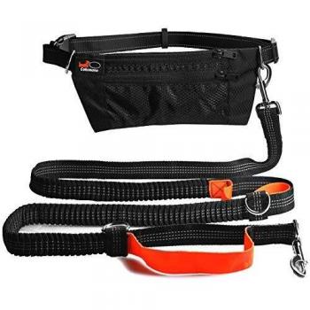 Correa para Perro Manos Libres, Correa de Jogging para Perros, Cinturón con Bolsa Compartimento y Correa Elástica y Reflectante. Correa de Perro para Correr o Caminar, ideale per Cani Walking Training
