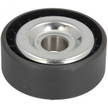 Polea tensora correa acanalada en V BTA E2R5607BTA Tensor de correa poli V BTA E2R5607BTA