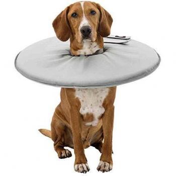 TRIXIE Collar Isabelino Veterinario para Perros, Talla XL, Contorno de Cuello 60–64 cm/29 cm