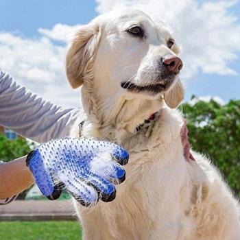 Guante de Cepillado para Mascotas - Gant de Brossage para Perros y Gatos - 175 Púas de Masaje - Entrega Rápida en 48H - Garantía de 1 Año