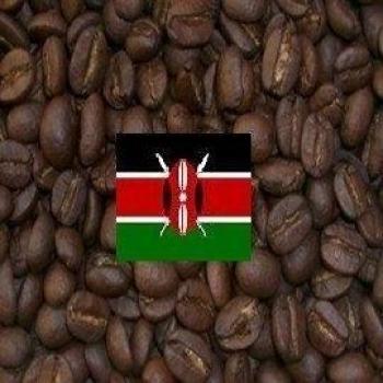 SABOREATE Y CAFE THE FLAVOUR SHOP Café en Grano AA Natural de Kenia Kiundi 1Kg