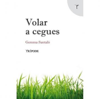 VOLAR A CEGUES