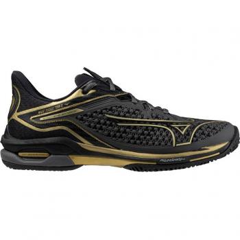 Zapatillas de tenis Mizuno Wave Exceed Tour 6 AC 10th - Hombres, Gris