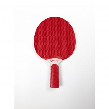 Tenis de Mesa Schlaraffia Eger Mannesmann-. 4Seasons