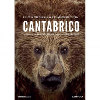 Cantábrico. Los dominios del Oso Pardo [DVD]