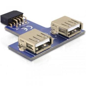 DeLOCK 9-Pin 2.54 mm/2 x USB 2.0 1 x 9-Pin 2.54 mm 2 x USB 2.0-A Negro, Azul, Plata - Adaptador para Cable