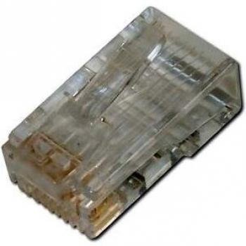 Assmann Electronic AK-219602 RJ45 8P8C Transparente - Conector