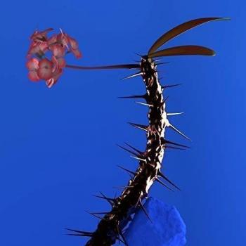 Skin Companion Ep II [Vinilo]
