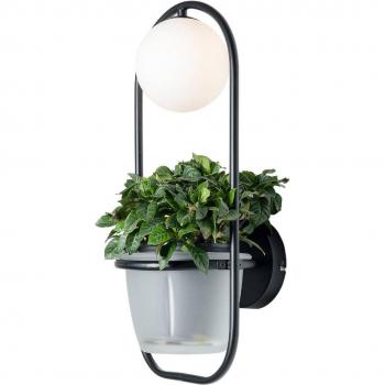 Aplique de pared Lindby Orna 1 luz macetero moderno en negro, hecho de metal, para salón y comedor, con una llama G9