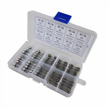 DIGITEN Fusibles de vidrio de soplado rápido de 5 x 20 mm, fusibles de tubo de vidrio de coche surtidos, paquete de 100 unidades