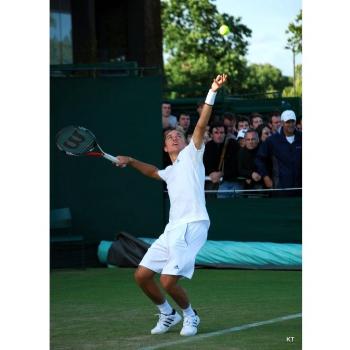 Alexandr Dolgopolov (14x19 inch, 35x49 cm) Silk Poster Seda Cartel PJ1C-2F26