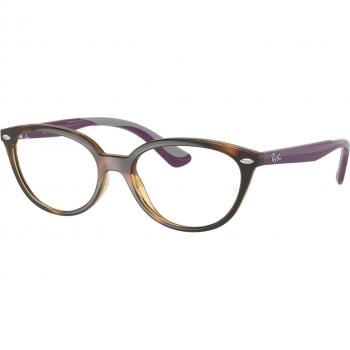 Ray-Ban Kids Cat Eye Havana Plastic Glasses RY1612 3904