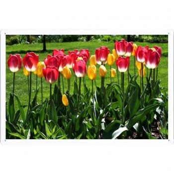 Metal cartel Cartel de chapa Hojalata sesión Flower Tin Sign Tulips Flowers Flowerbed Park Grass Spring 31614 Retro Vintage Pared Decoración by hamgaacaan