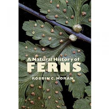 Comprehensive Guide to Ferns: A Natural History by Robbin C. Moran