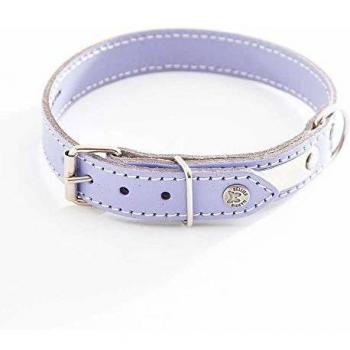 Collar acolchado para perro con placa Martin Sellier