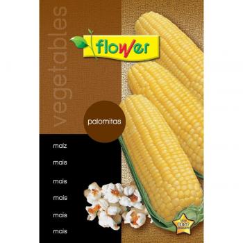 Flower - Sobre semillas maiz