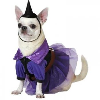 Disfraz para Perro Bruja Talla M, disfraz de bruja morada con sombrero, incluye vestido violeta y sombrero