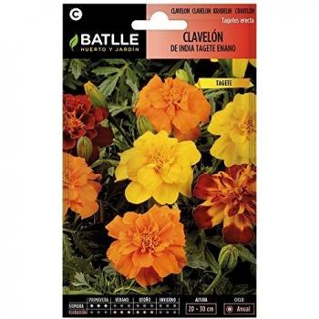 Semillas de Flores - Clavelón de la India Tagete enano - Batlle