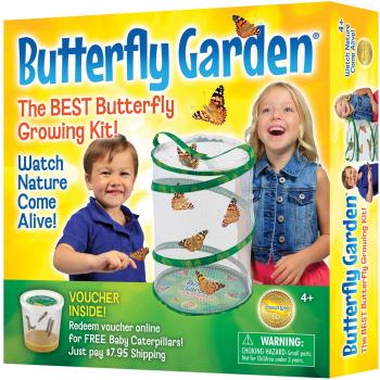 Insect Lore Butterfly Garden