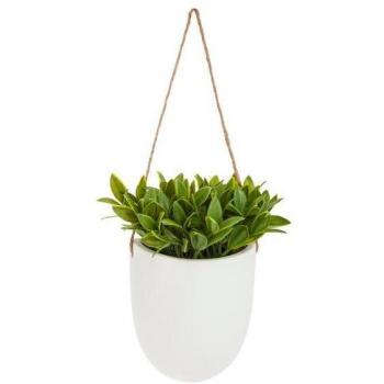 Planta Colgante Artificial de Pared con Detalles Naturales de 23cm