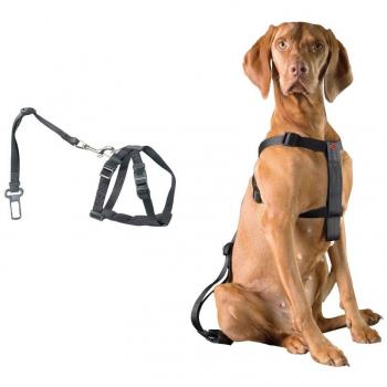 Ebi Arnés con Cinturón para Perros S - Arnés ajustable, diseño ergonómico, material resistente y duradero, fácil de poner y quitar, incluye cinturón de seguridad, tamaño pequeño