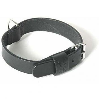 Collar de cuero bicolor para perro Martin Sellier 499 con correa incluida