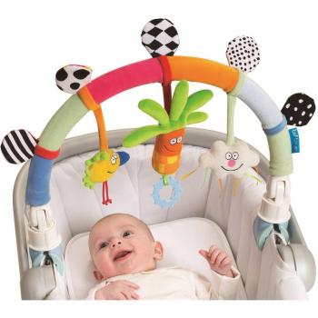 Taf Toys 11675 - Arco de carrito arcoíris