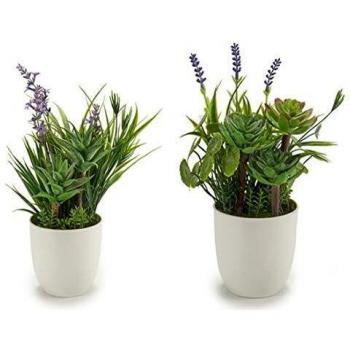 Ibergarden S3603939 Maceta