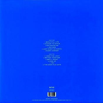 Beautiful life vinilo
