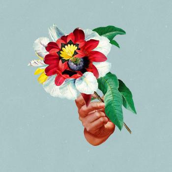 Kingdoms In Colour [VINYL]