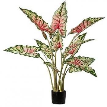 Espejo Árbol Taro Tabby con Maceta 80x70x100 Cm - Complemento Decorativo para el Hogar