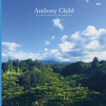 Maui Jungle Electronic Soundscapes Volume 2