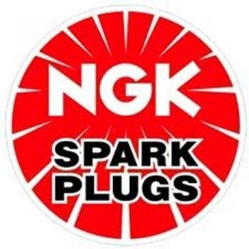 NGK Laser Platinum Spark Plug Set, 10 Pieces, Model 6376 & PKER7A8EGS/95463