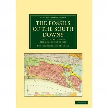 Fósiles de los South Downs: Ilustraciones de la Geología de Sussex (Colección Biblioteca de Cambridge - Ciencias de la Tierra)