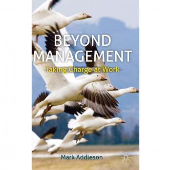 Beyond Management: Empowerment Strategies for Workplace Leadership
