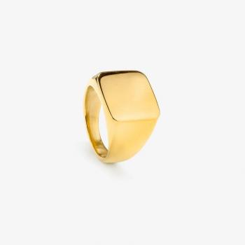 Anillo Radiant de Acero Dorado para Hombre Shine & Matt RH000027-24