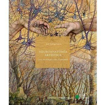 Neuroanatomía artística