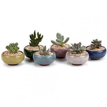 T4U Conjunto de 6 Cerámica Ice Crack De Serie Zisha Cerámicos Planta Maceta Suculento Cactus Planta Maceta Planta Contenedor Vivero Maceta Macetas de jardín Macetas Envase