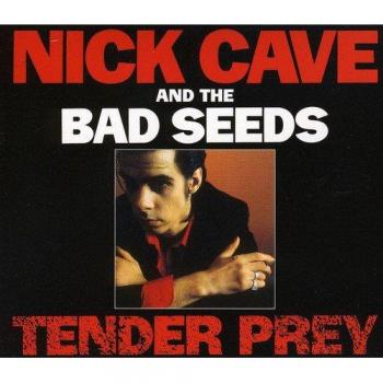 Tender Prey
