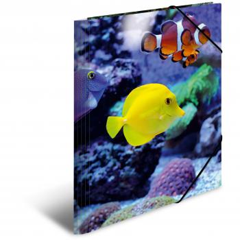 Carpeta Esquinera HERMA A3 Brillante de PP con Diseño de Peces, Gummizug y Interior a Color