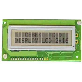 EC9 LCD Personalizado 12V