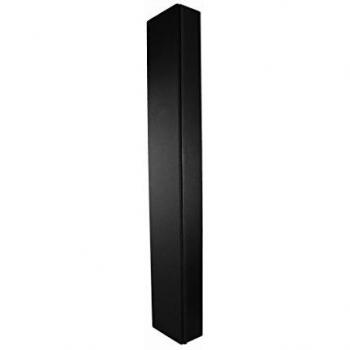 NEC SP-55SM 100W Negro - Altavoces