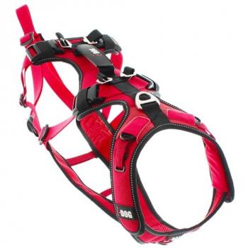 Arnés Confort Trek I-Dog Rojo XL Unisex