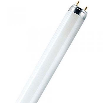 Osram Lámpara Fluorescente 36 W 830 Color de la Luz L 36 W/830-1