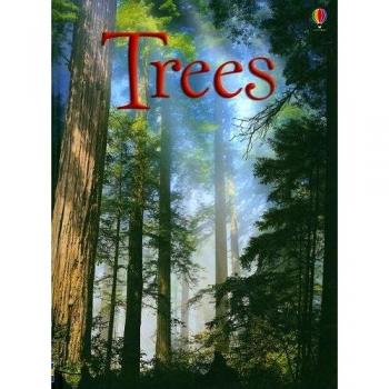 Trees